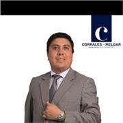 Docente de Derecho con amplia experiencia en academia y en el litigio, imparte clases de Derecho Civil, Derecho Constitucional, et